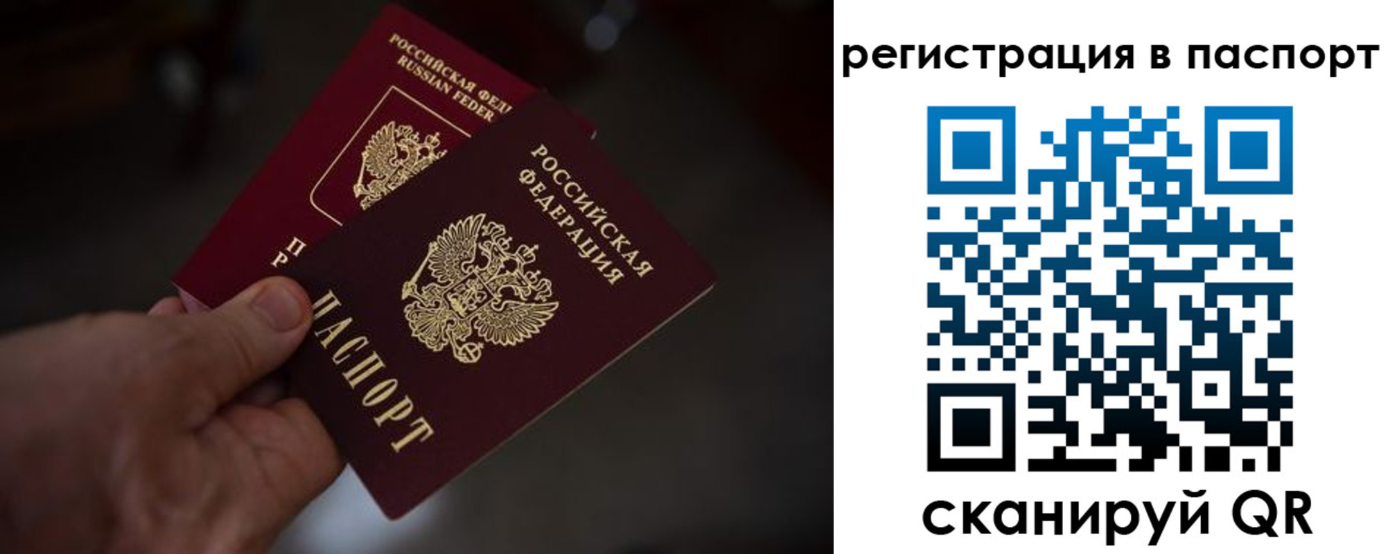 пропишу в квартире в Видном